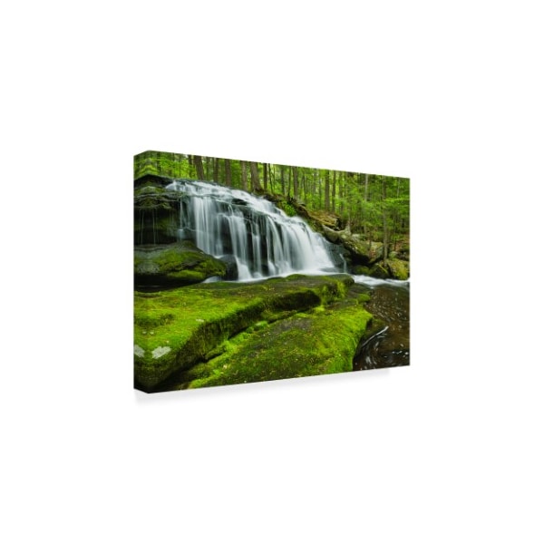 Michael Blanchette Photography 'Spring At Tucker Brook' Canvas Art,22x32